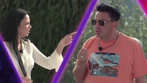 Poster for Fressen oder gefressen werden? Überleben im Reality-Haifischbecken