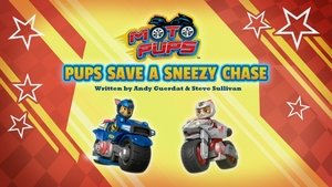 Poster for Moto Pup: Pup Save a Sneezy Chase