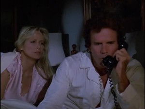 Poster for When Thieves Fall Out