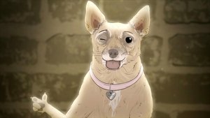 Poster for Episode Twenty: Dog.