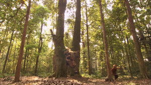 Poster for Episode 36