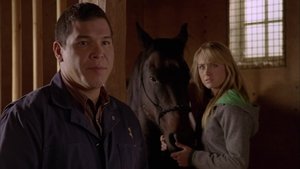 Poster for Wild Horses