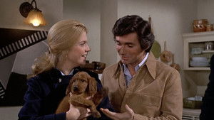 Poster for The Information Gap