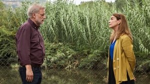 Poster for Shake the Foundations