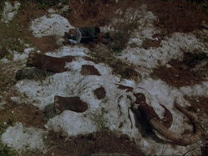 Poster for Lovers and Madmen