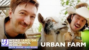 Poster for Shane and Ryan Become Urban Farmers