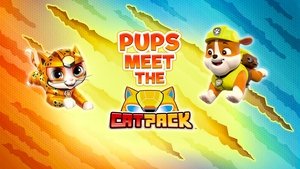 Poster for Pups Meet the Cat Pack