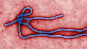Poster for Hunting Boko Haram / Ebola Outbreak