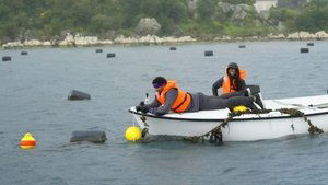 Poster for The System Hacked Me