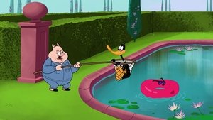 Poster for Point Duck Percent