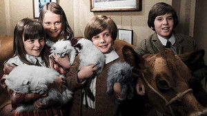 Poster for The Magic Fire