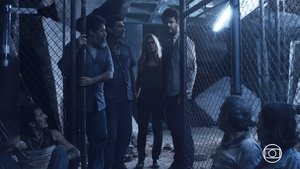 Poster for First contact Poster for First contact