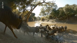 Poster for Episode 4