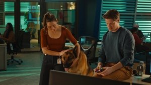 Poster for Hot Prowl in the City