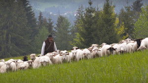 Poster for Episode 2 Poster for Episode 2