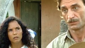 Poster for Chapter 19 Poster for Chapter 19