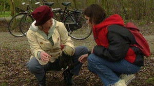 Poster for The First Rooster Poster for The First Rooster