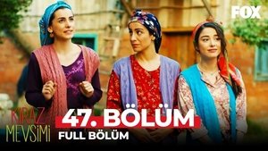 Poster for Episodio 47