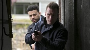 Poster for Bella, Genevieve, Amelia, Tally & Kate