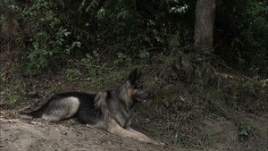 Poster for Episode 24