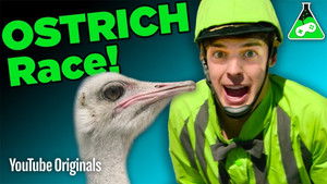 Poster for OSTRICH JOCKEYS?! (Final Fantasy XV)