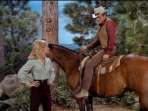 Poster for The Stallion