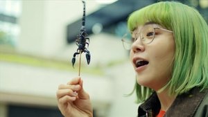 Poster for A Scorpion and Chinese Boiled Dumplings Poster for A Scorpion and Chinese Boiled Dumplings