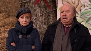 Poster for Save the forest! / Rocco 2 - The return Poster for Save the forest! / Rocco 2 - The return