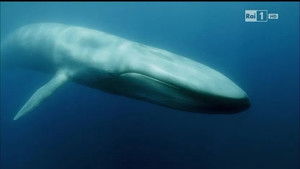 Poster for Episode 4 Poster for Episode 4