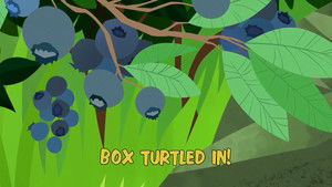 Poster for Box Turtled In!