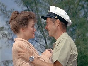 Poster for The Lifeguard