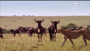 Poster for Episode 5 Poster for Episode 5