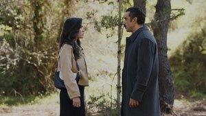 Poster for Episode 37 Poster for Episode 37