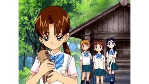 Poster for Namida's Farewell!? Rina's Ponpoko Tale