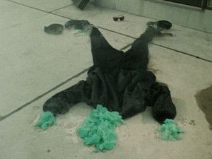 Poster for Ohashi Seto's Mutant- Part 1