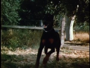 Poster for Hounds of Hell
