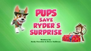 Poster for Pups Save Ryder's Surprise