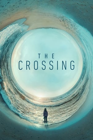 THE CROSSING／未来からの漂流者