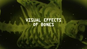 Poster for Visual Effects Of Bones