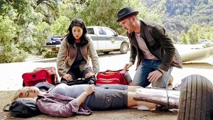 Poster for Crime Every Mountain