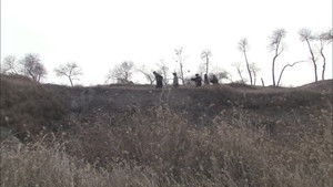 Poster for Episode 39 Poster for Episode 39