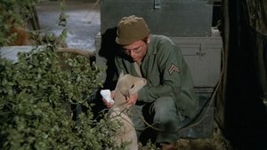 Poster for Private Charles Lamb