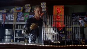 Poster for The Badger