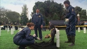Poster for The Soldier on the Grave