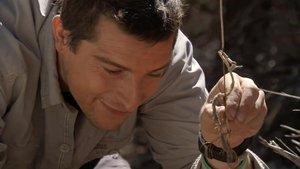 Poster for Baja Desert