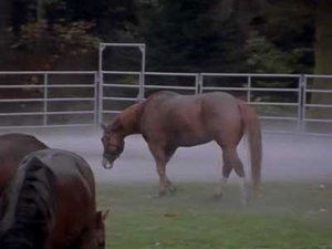 Poster for Chem Club