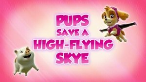 Poster for Pups Save a High-Flying Skye