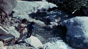 Poster for The Library Card