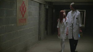 Poster for The Mayze