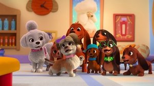 Poster for Bow Wow Bows / Snuggle Trouble Poster for Bow Wow Bows / Snuggle Trouble